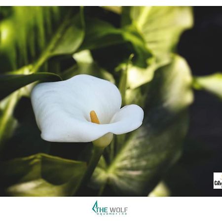 B&B Cilento Paestum Zewnętrze zdjęcie