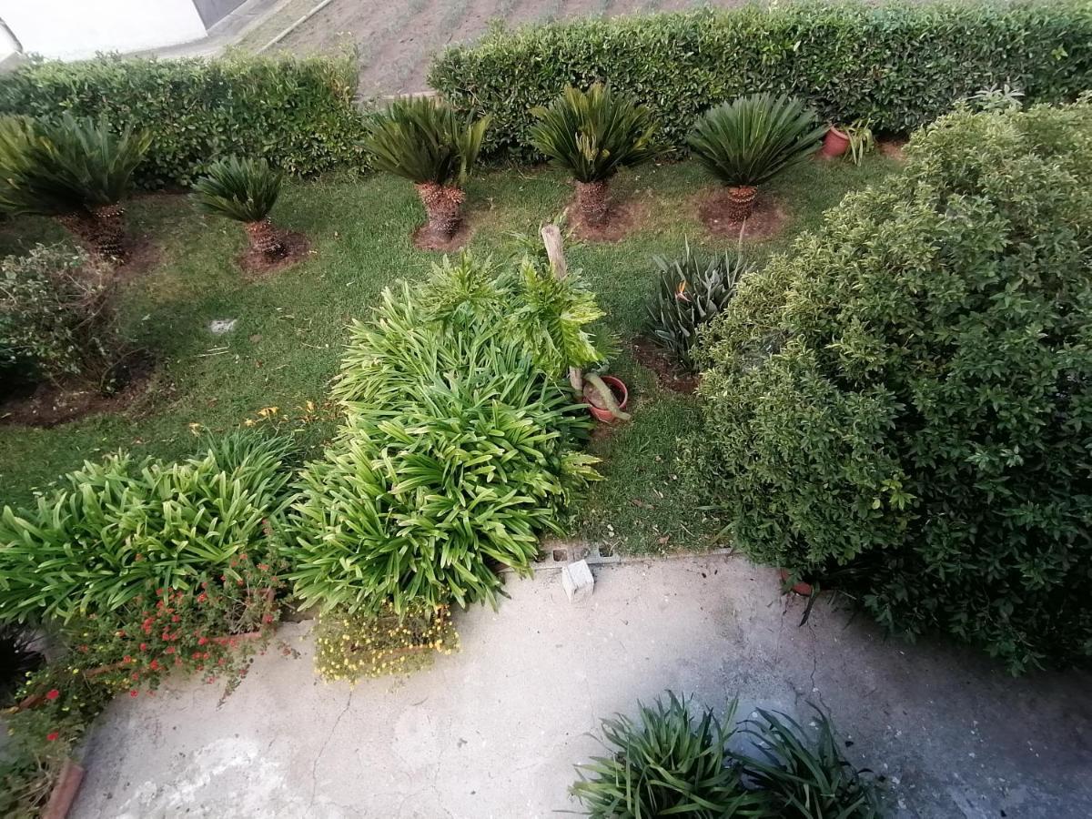 B&B Cilento Paestum Zewnętrze zdjęcie