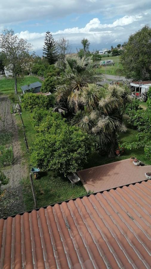 B&B Cilento Paestum Zewnętrze zdjęcie