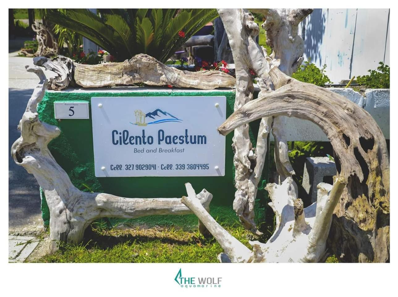 B&B Cilento Paestum Zewnętrze zdjęcie