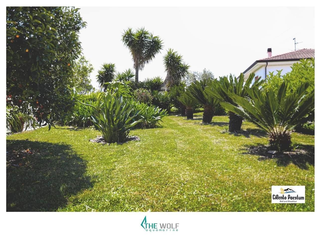 B&B Cilento Paestum Zewnętrze zdjęcie