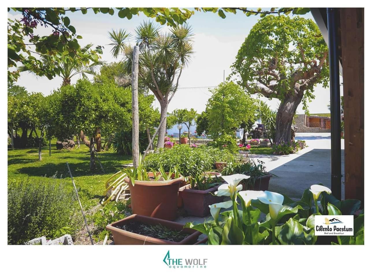 B&B Cilento Paestum Zewnętrze zdjęcie