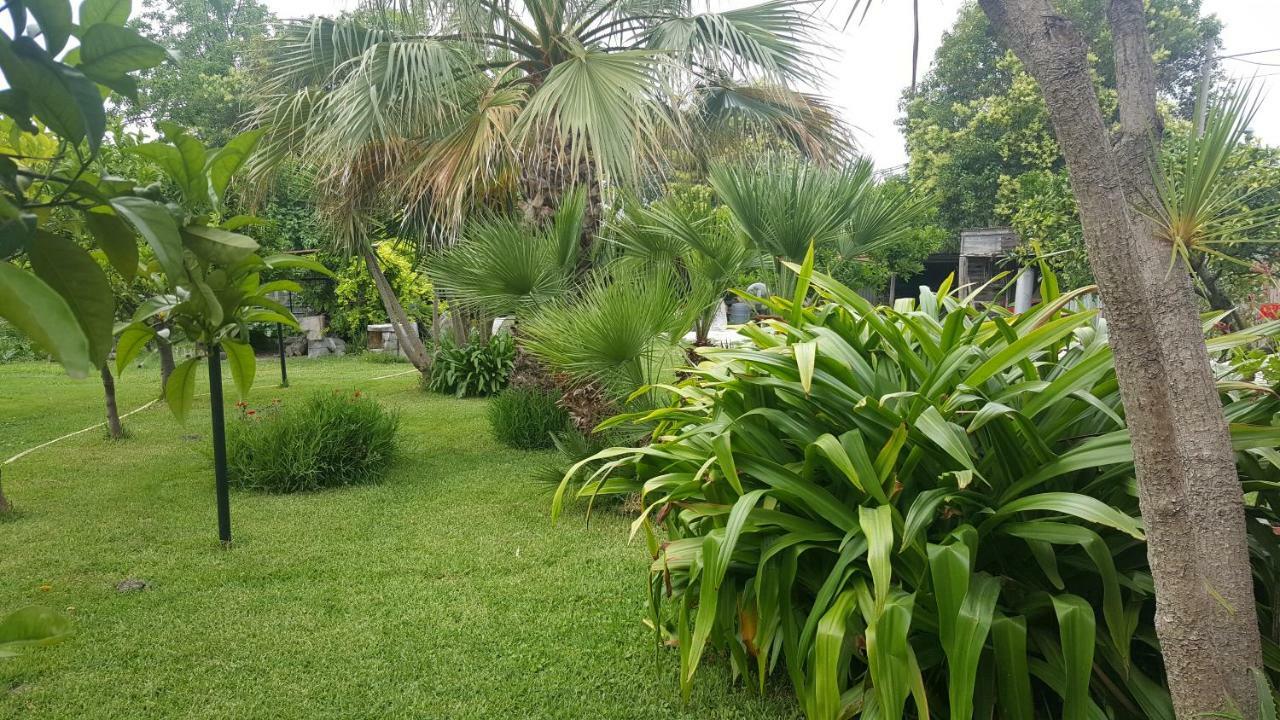 B&B Cilento Paestum Zewnętrze zdjęcie
